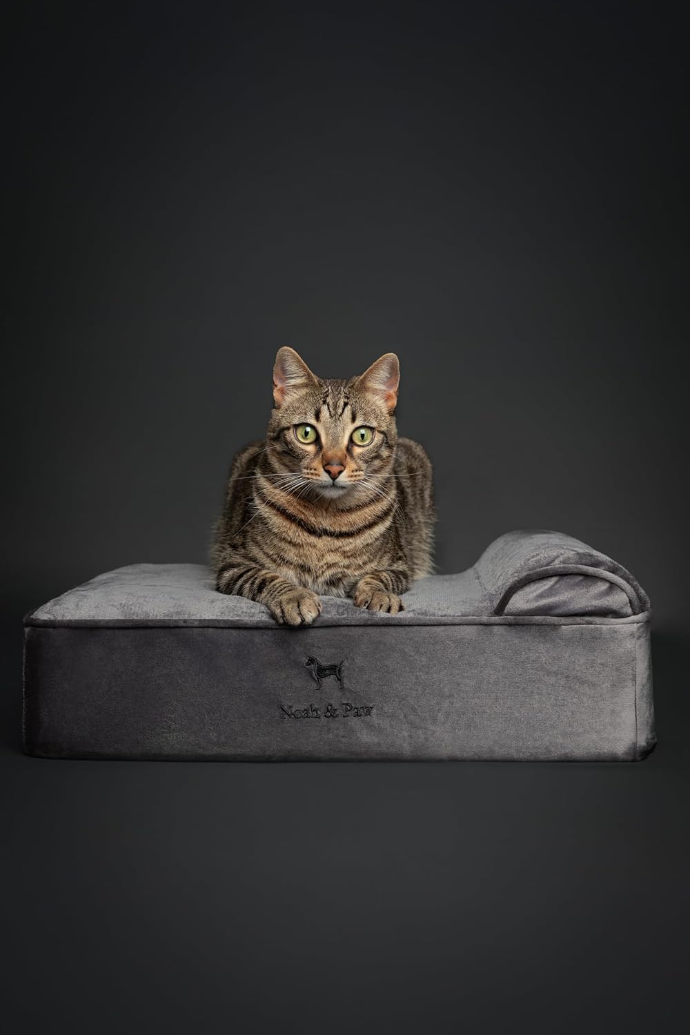 XL Dog Bed, 45x35x9.1 Inch, Orthopedic Large Dog Beds, Eggshell Memory Foam Infused with Cooling Gel, Water Resistant, Machine Washable, Includes Inner Cover