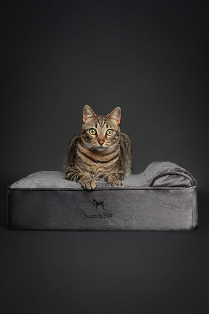 XL Dog Bed, 45x35x9.1 Inch, Orthopedic Large Dog Beds, Eggshell Memory Foam Infused with Cooling Gel, Water Resistant, Machine Washable, Includes Inner Cover