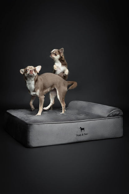 XL Dog Bed, 45x35x9.1 Inch, Orthopedic Large Dog Beds, Eggshell Memory Foam Infused with Cooling Gel, Water Resistant, Machine Washable, Includes Inner Cover