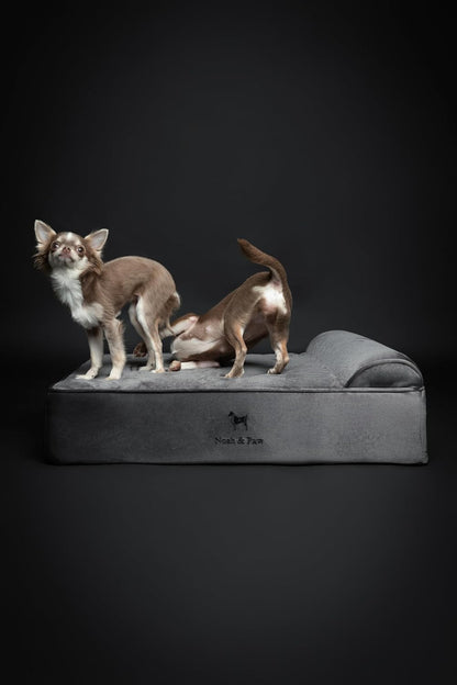 XL Dog Bed, 45x35x9.1 Inch, Orthopedic Large Dog Beds, Eggshell Memory Foam Infused with Cooling Gel, Water Resistant, Machine Washable, Includes Inner Cover