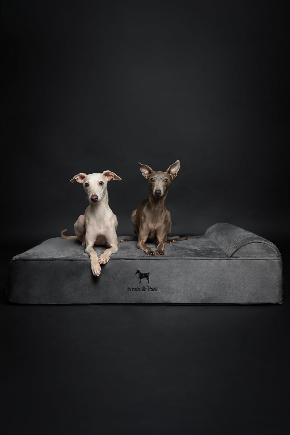 XL Dog Bed, 45x35x9.1 Inch, Orthopedic Large Dog Beds, Eggshell Memory Foam Infused with Cooling Gel, Water Resistant, Machine Washable, Includes Inner Cover