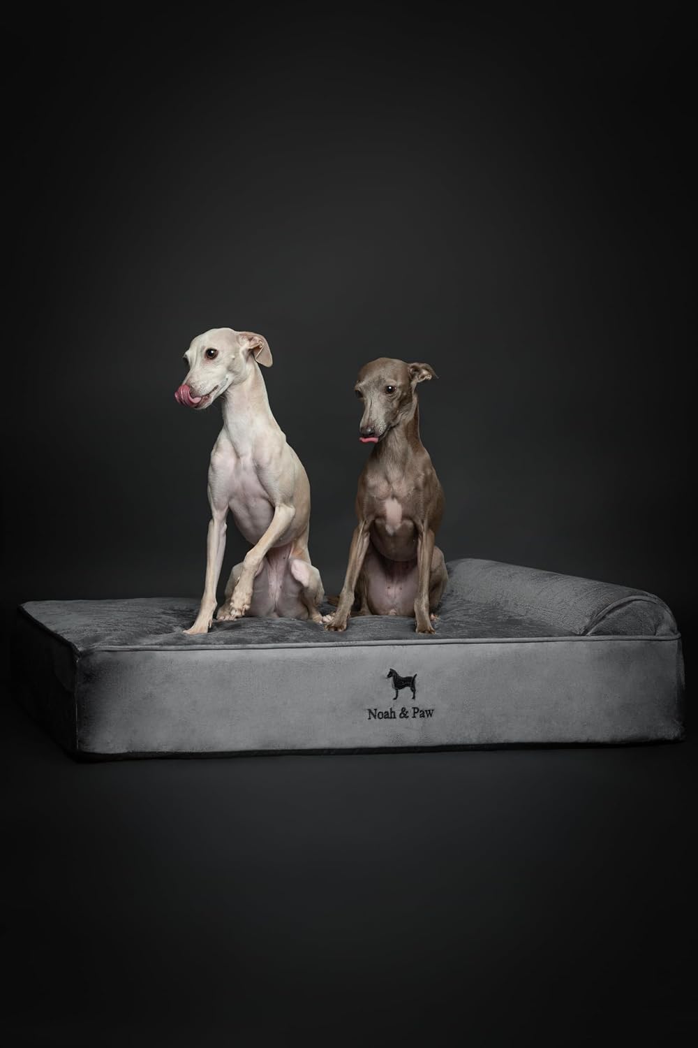 XL Dog Bed, 45x35x9.1 Inch, Orthopedic Large Dog Beds, Eggshell Memory Foam Infused with Cooling Gel, Water Resistant, Machine Washable, Includes Inner Cover