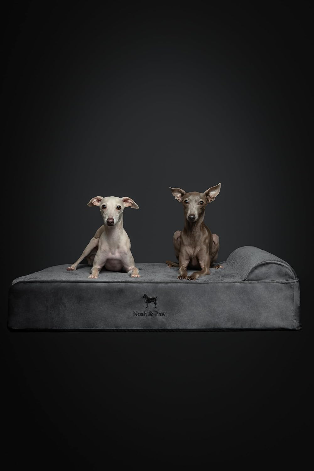 XL Dog Bed, 45x35x9.1 Inch, Orthopedic Large Dog Beds, Eggshell Memory Foam Infused with Cooling Gel, Water Resistant, Machine Washable, Includes Inner Cover