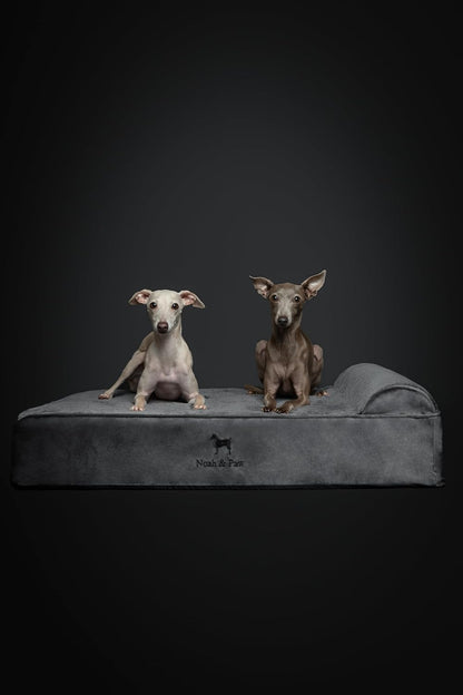 XL Dog Bed, 45x35x9.1 Inch, Orthopedic Large Dog Beds, Eggshell Memory Foam Infused with Cooling Gel, Water Resistant, Machine Washable, Includes Inner Cover