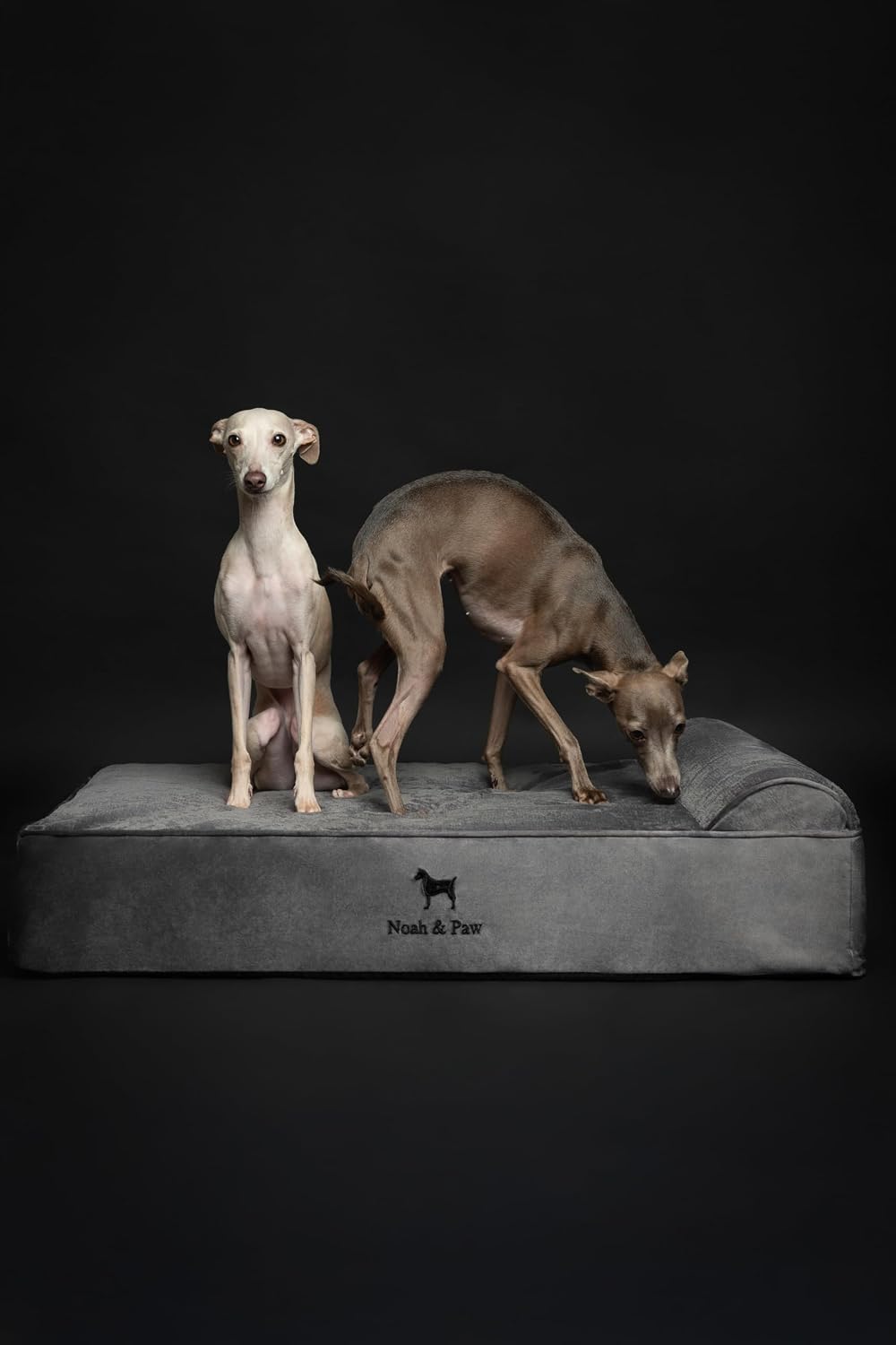 XL Dog Bed, 45x35x9.1 Inch, Orthopedic Large Dog Beds, Eggshell Memory Foam Infused with Cooling Gel, Water Resistant, Machine Washable, Includes Inner Cover