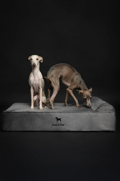 XL Dog Bed, 45x35x9.1 Inch, Orthopedic Large Dog Beds, Eggshell Memory Foam Infused with Cooling Gel, Water Resistant, Machine Washable, Includes Inner Cover