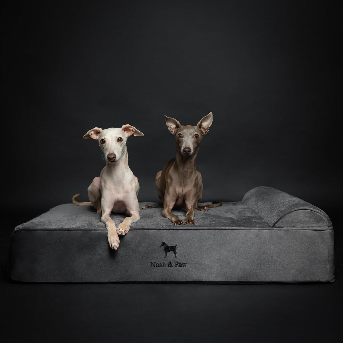 XL Dog Bed, 45x35x9.1 Inch, Orthopedic Large Dog Beds, Eggshell Memory Foam Infused with Cooling Gel, Water Resistant, Machine Washable, Includes Inner Cover