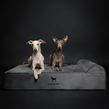 XL Dog Bed, 45x35x9.1 Inch, Orthopedic Large Dog Beds, Eggshell Memory Foam Infused with Cooling Gel, Water Resistant, Machine Washable, Includes Inner Cover