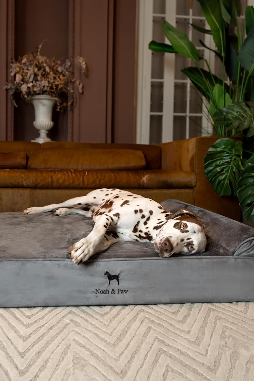 XL Dog Bed, 45x35x9.1 Inch, Orthopedic Large Dog Beds, Eggshell Memory Foam Infused with Cooling Gel, Water Resistant, Machine Washable, Includes Inner Cover