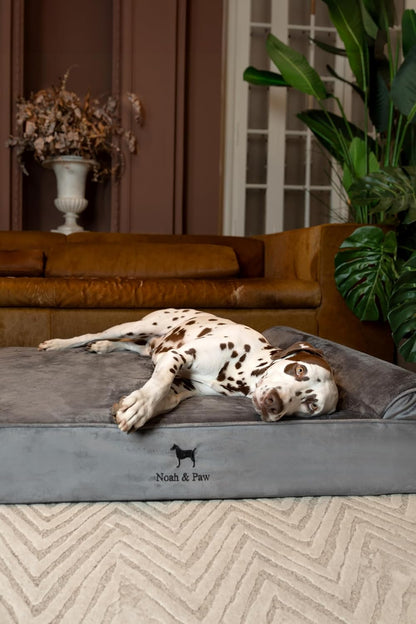 XL Dog Bed, 45x35x9.1 Inch, Orthopedic Large Dog Beds, Eggshell Memory Foam Infused with Cooling Gel, Water Resistant, Machine Washable, Includes Inner Cover