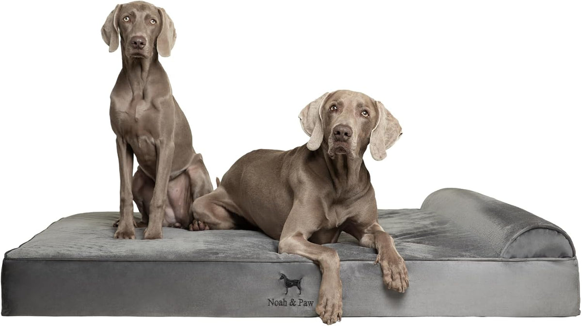 XL Dog Bed, 45x35x9.1 Inch, Orthopedic Large Dog Beds, Eggshell Memory Foam Infused with Cooling Gel, Water Resistant, Machine Washable, Includes Inner Cover