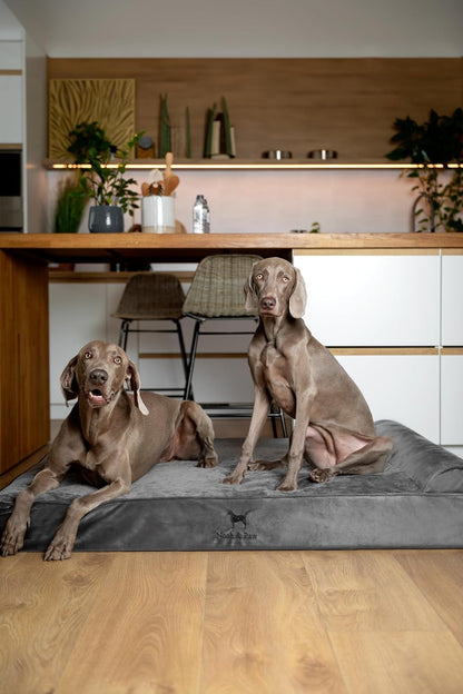 XL Dog Bed, 45x35x9.1 Inch, Orthopedic Large Dog Beds, Eggshell Memory Foam Infused with Cooling Gel, Water Resistant, Machine Washable, Includes Inner Cover
