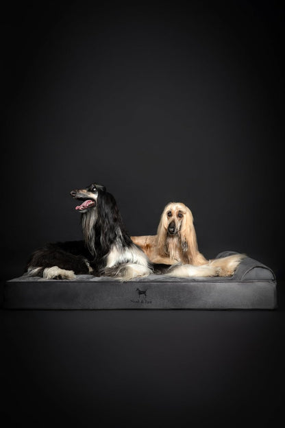 XL Dog Bed, 45x35x9.1 Inch, Orthopedic Large Dog Beds, Eggshell Memory Foam Infused with Cooling Gel, Water Resistant, Machine Washable, Includes Inner Cover