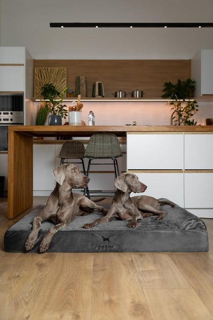 XL Dog Bed, 45x35x9.1 Inch, Orthopedic Large Dog Beds, Eggshell Memory Foam Infused with Cooling Gel, Water Resistant, Machine Washable, Includes Inner Cover
