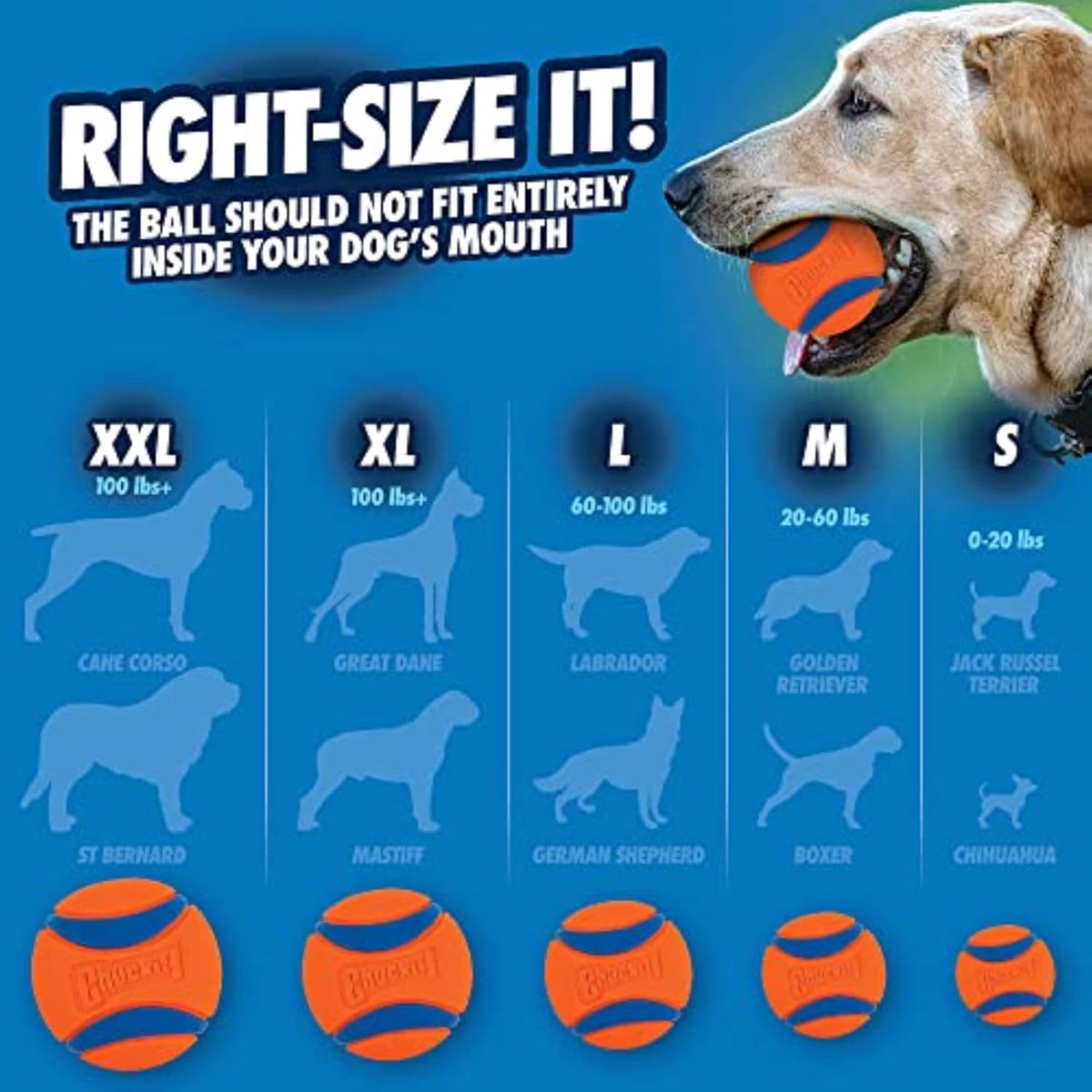 ! Ultra Ball Dog Toy, Durable Rubber, Medium 2.5-in, 2 Pack