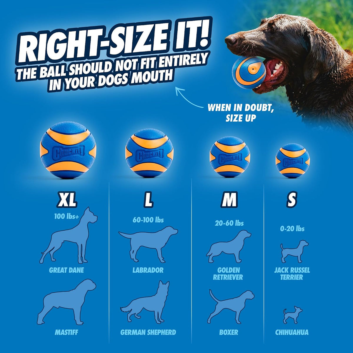 ! Ultra Ball Dog Toy, Durable Rubber, Medium 2.5-in, 2 Pack