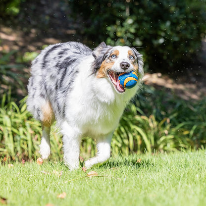 ! Ultra Ball Dog Toy, Durable Rubber, Medium 2.5-in, 2 Pack