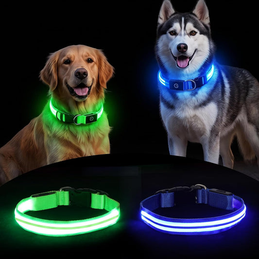 Neon LED Light Up Dog Collar for Night Walking, Rechargeable Safety Glow Illuminated Collar, Reflective Adjustable Pet Light for Medium/Large Dogs 15-19" Neck (Green & Blue)