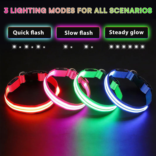 Neon LED Light Up Dog Collar for Night Walking, Rechargeable Safety Glow Illuminated Collar, Reflective Adjustable Pet Light for Medium/Large Dogs 15-19" Neck (Green & Blue)