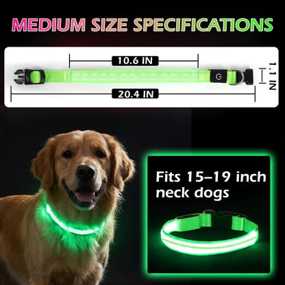 Neon LED Light Up Dog Collar for Night Walking, Rechargeable Safety Glow Illuminated Collar, Reflective Adjustable Pet Light for Medium/Large Dogs 15-19" Neck (Green & Blue)