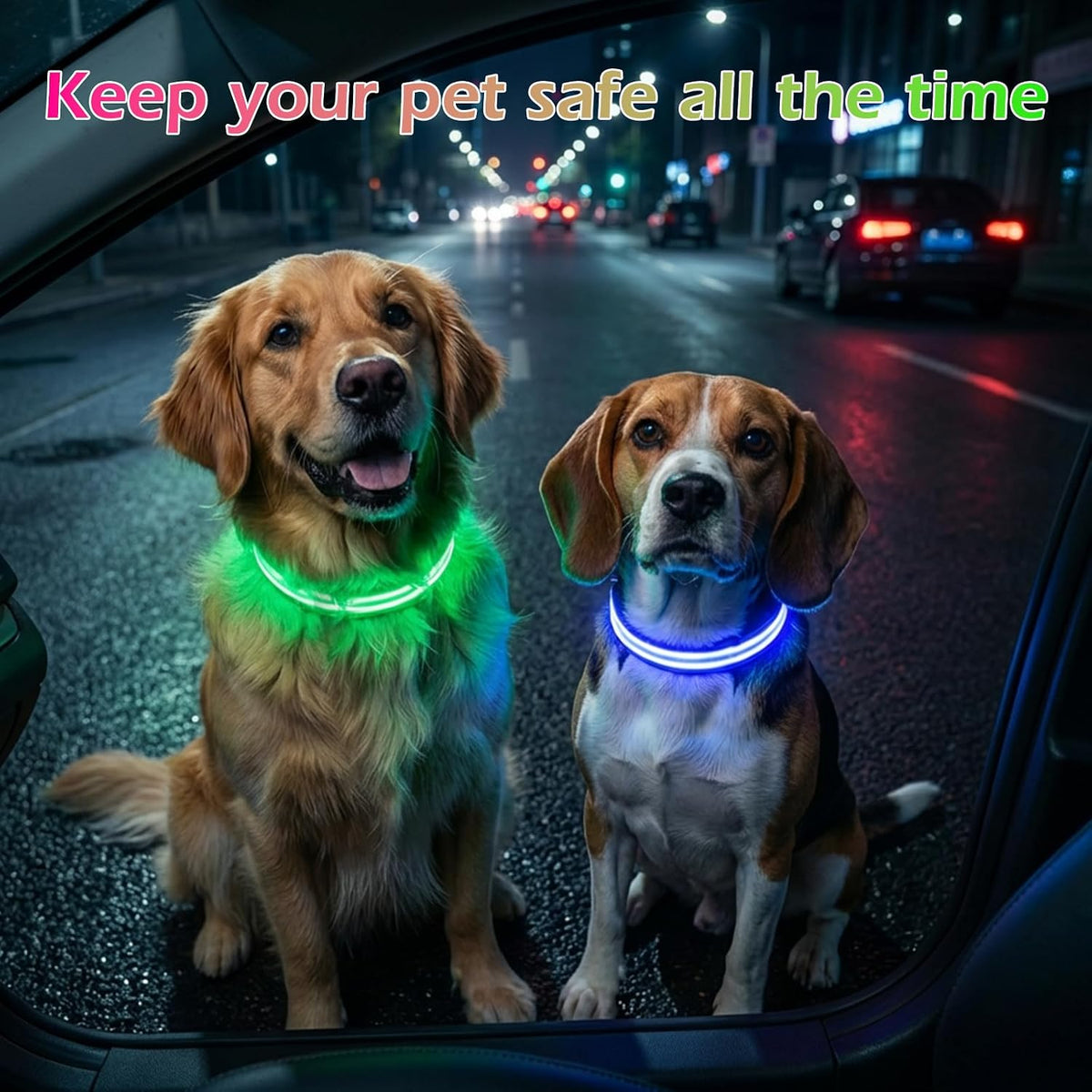 Neon LED Light Up Dog Collar for Night Walking, Rechargeable Safety Glow Illuminated Collar, Reflective Adjustable Pet Light for Medium/Large Dogs 15-19" Neck (Green & Blue)