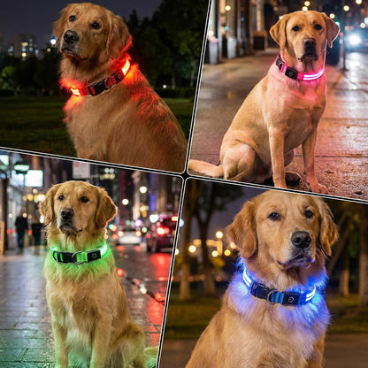 Neon LED Light Up Dog Collar for Night Walking, Rechargeable Safety Glow Illuminated Collar, Reflective Adjustable Pet Light for Medium/Large Dogs 15-19" Neck (Green & Blue)