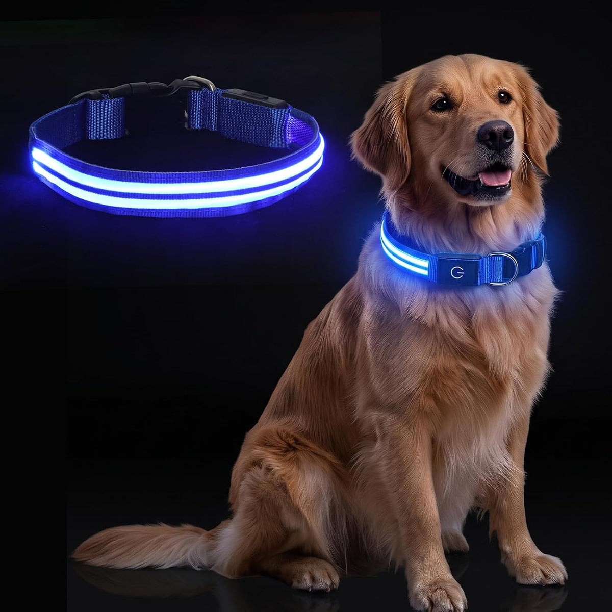 Neon LED Light Up Dog Collar for Night Walking, Rechargeable Safety Glow Illuminated Collar, Reflective Adjustable Pet Light for Medium/Large Dogs 15-19" Neck (Green & Blue)