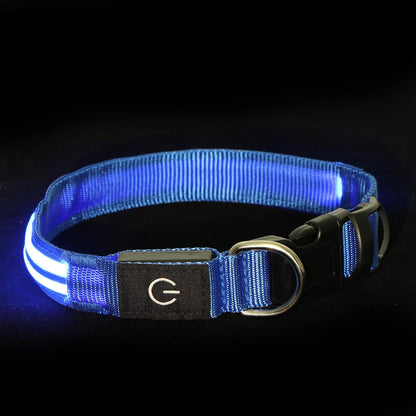 Neon LED Light Up Dog Collar for Night Walking, Rechargeable Safety Glow Illuminated Collar, Reflective Adjustable Pet Light for Medium/Large Dogs 15-19" Neck (Green & Blue)