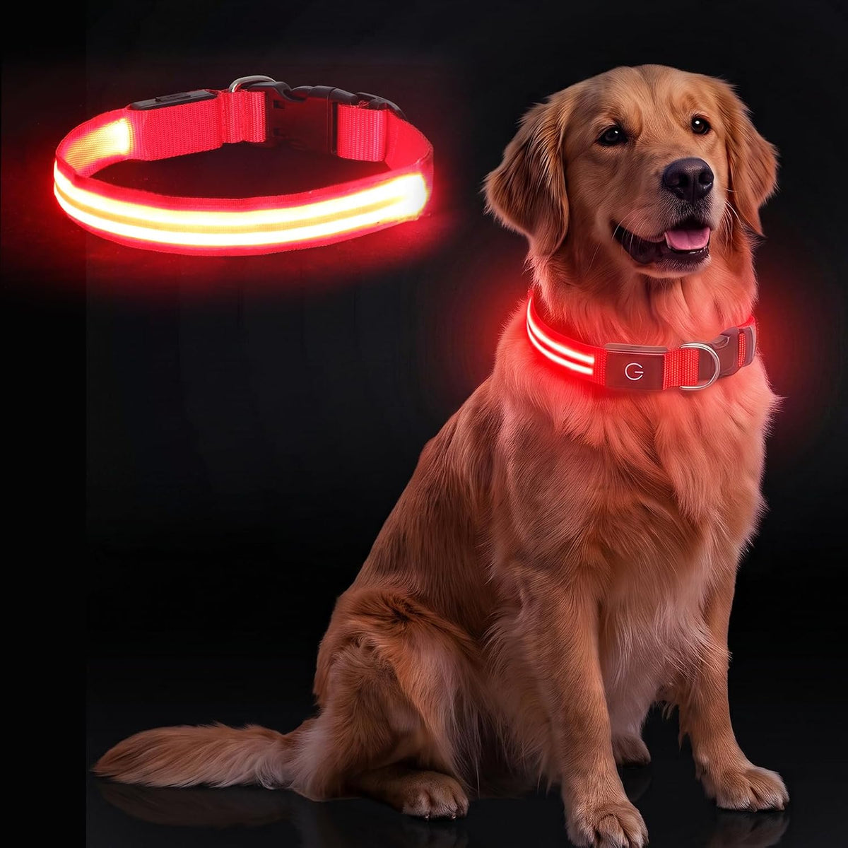 Neon LED Light Up Dog Collar for Night Walking, Rechargeable Safety Glow Illuminated Collar, Reflective Adjustable Pet Light for Medium/Large Dogs 15-19" Neck (Green & Blue)