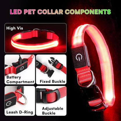 Neon LED Light Up Dog Collar for Night Walking, Rechargeable Safety Glow Illuminated Collar, Reflective Adjustable Pet Light for Medium/Large Dogs 15-19" Neck (Green & Blue)