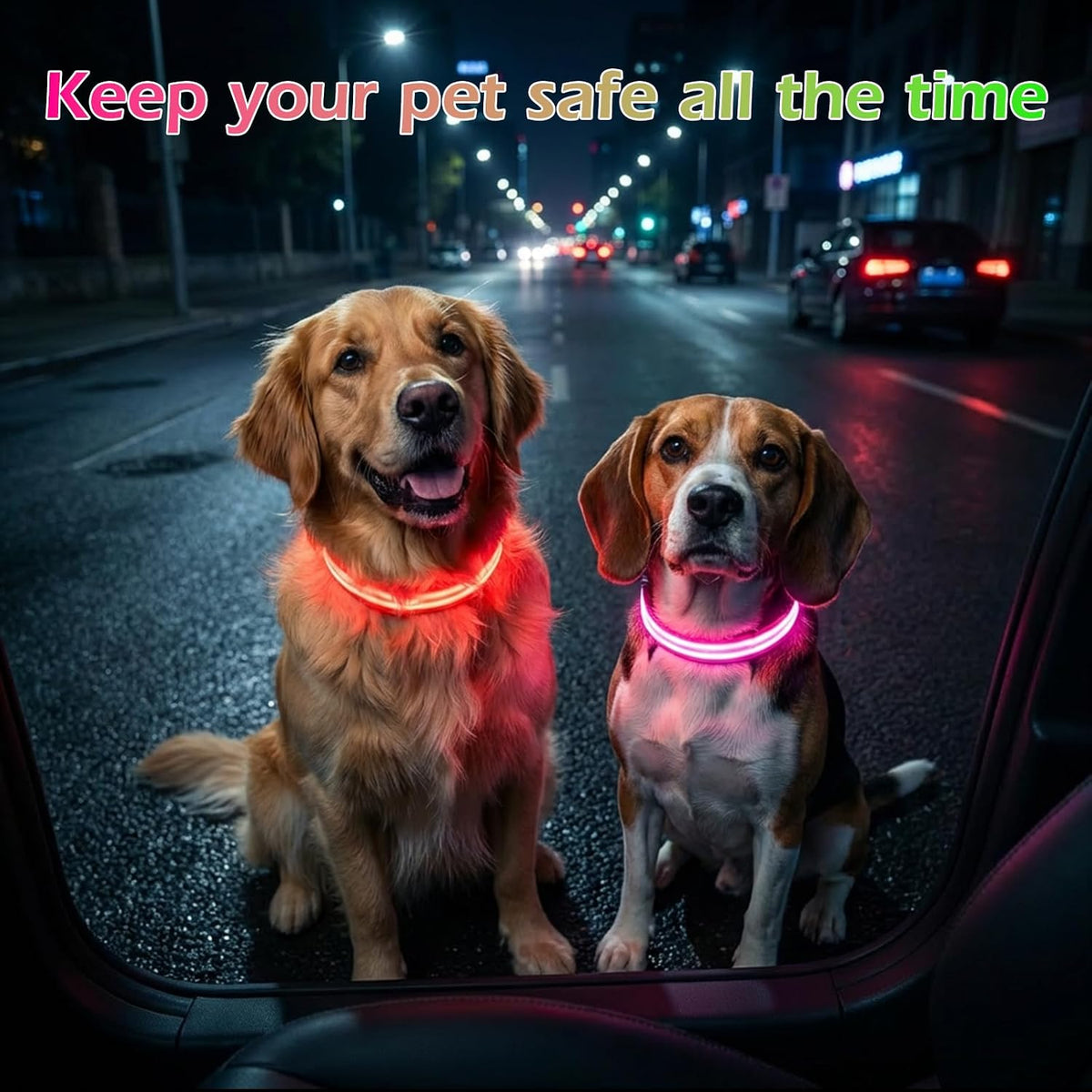 Neon LED Light Up Dog Collar for Night Walking, Rechargeable Safety Glow Illuminated Collar, Reflective Adjustable Pet Light for Medium/Large Dogs 15-19" Neck (Green & Blue)