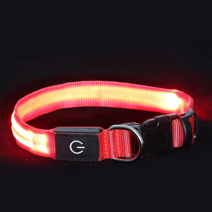 Neon LED Light Up Dog Collar for Night Walking, Rechargeable Safety Glow Illuminated Collar, Reflective Adjustable Pet Light for Medium/Large Dogs 15-19" Neck (Green & Blue)