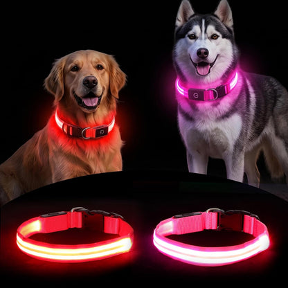 Neon LED Light Up Dog Collar for Night Walking, Rechargeable Safety Glow Illuminated Collar, Reflective Adjustable Pet Light for Medium/Large Dogs 15-19" Neck (Green & Blue)