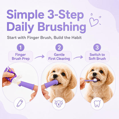 Small Dog Toothbrush Kit, 2.5oz Toothpaste & Finger Brush | Gentle Small Dog Care. Soft Brush Comfort. Finger-Fit Control. Coconut Chicken Flavor. Daily Routine.