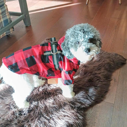 Dog Raincoats for Medium Dogs, Waterproof Rain Jacket with Hood