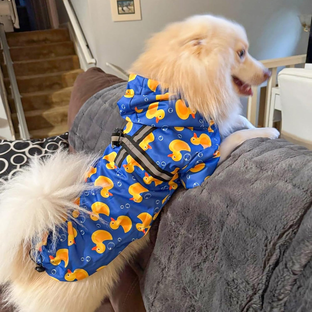 Dog Raincoats for Medium Dogs, Waterproof Rain Jacket with Hood