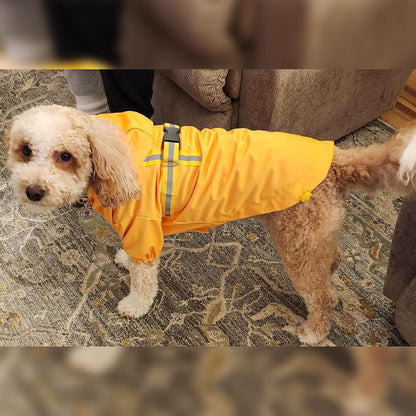Dog Raincoats for Medium Dogs, Waterproof Rain Jacket with Hood