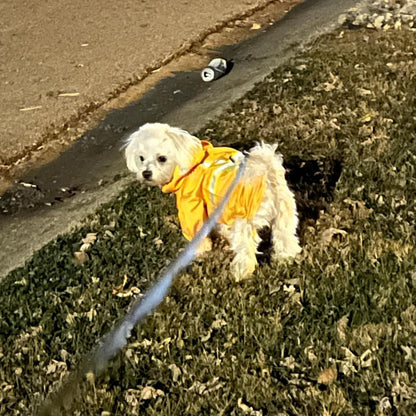 Dog Raincoats for Medium Dogs, Waterproof Rain Jacket with Hood