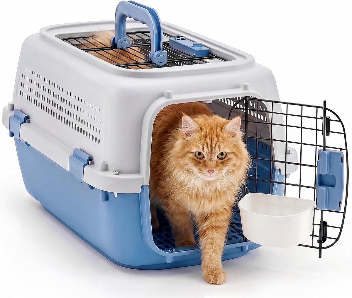 Dog & Cat Hard Carrier, 23IN Two-Door Plastic Pet Kennel with Ventilation