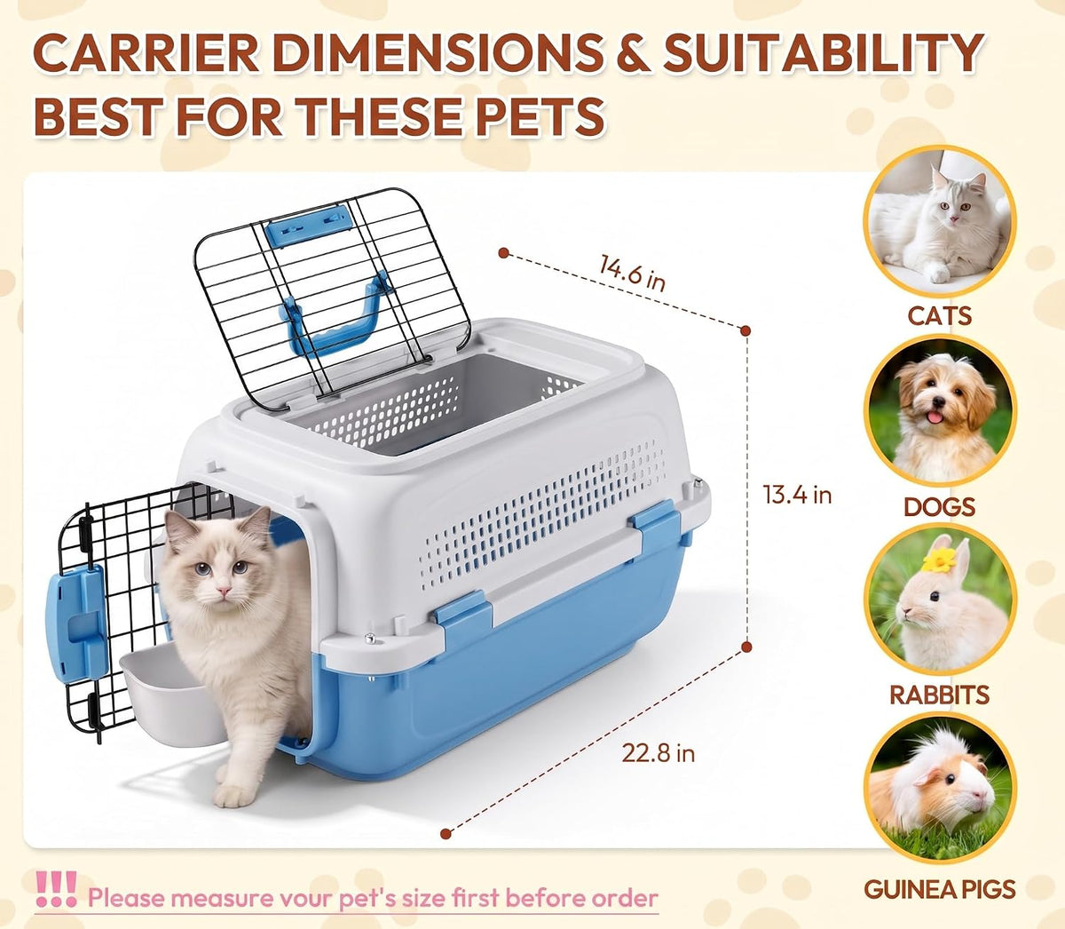 Dog & Cat Hard Carrier, 23IN Two-Door Plastic Pet Kennel with Ventilation