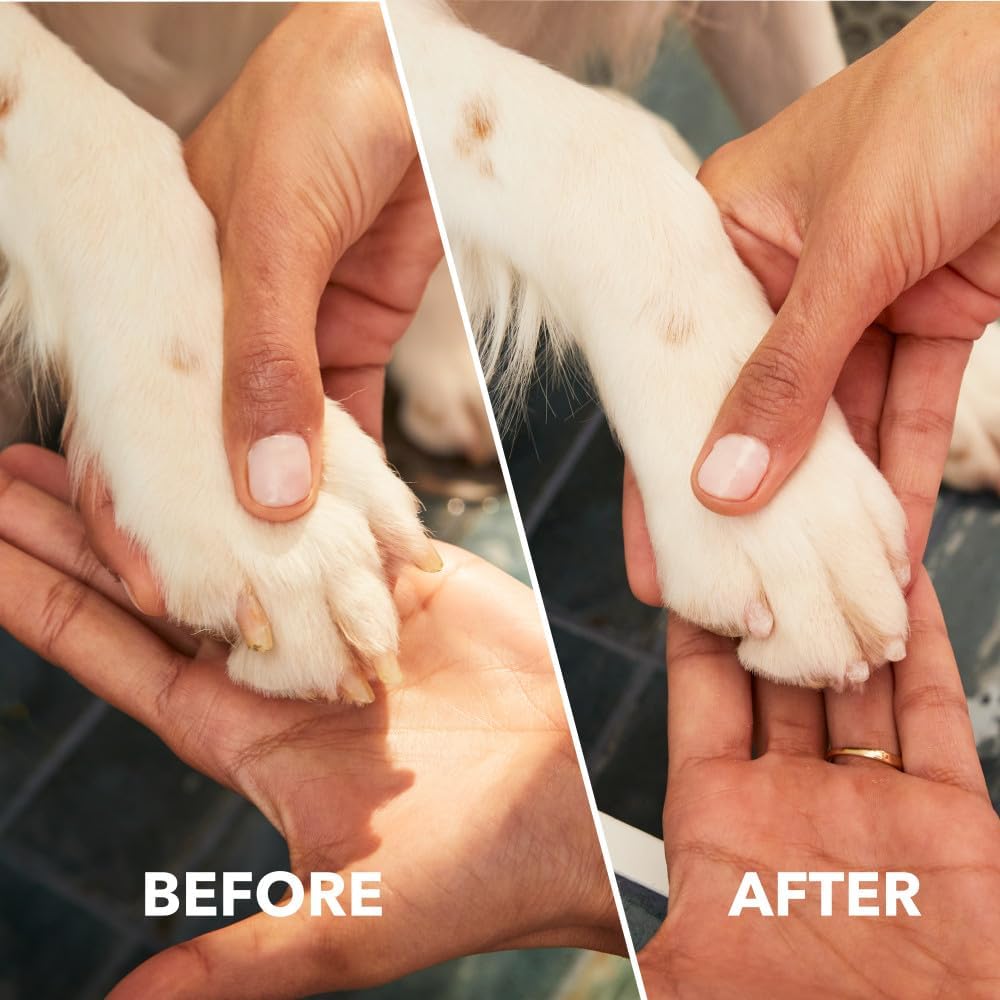 Dremel PawControl 7760-PET Dog Nail Grinder and Trimmer - Cordless & Rechargeable Pet Grooming Tool Kit - Safe for Dogs, Cats, and Small Animals (Amazon Exclusive) | Cordless & Rechargeable Pet Grooming Tool Kit, Safe for Dogs, Cats, and Small Animals,