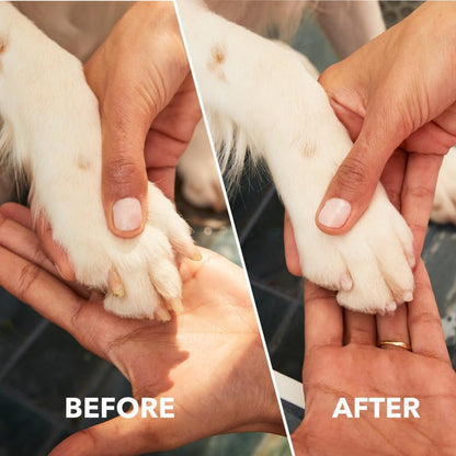 Dremel PawControl 7760-PET Dog Nail Grinder and Trimmer - Cordless & Rechargeable Pet Grooming Tool Kit - Safe for Dogs, Cats, and Small Animals (Amazon Exclusive) | Cordless & Rechargeable Pet Grooming Tool Kit, Safe for Dogs, Cats, and Small Animals,