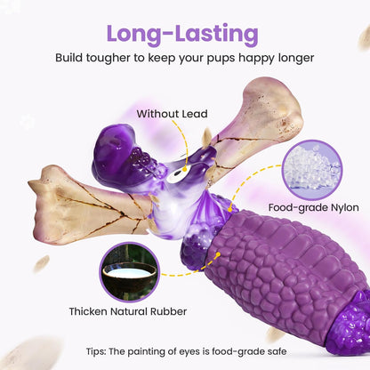 Tough Dog Toys for Aggressive Chewers, Squeaky Indestructible Chew Toy