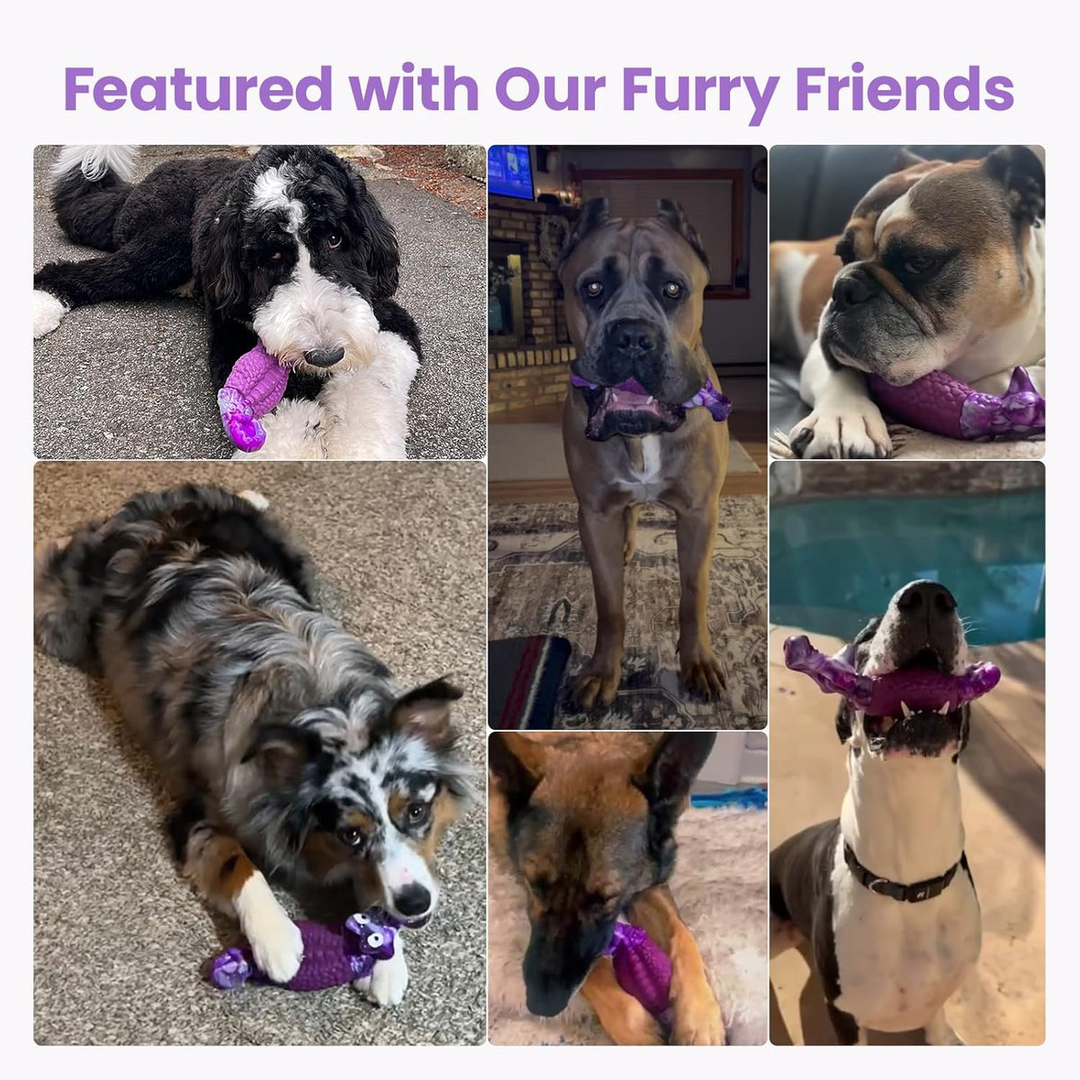 Tough Dog Toys for Aggressive Chewers, Squeaky Indestructible Chew Toy