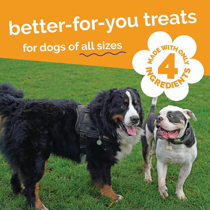 Whole Jerky Dog Treats, Grilled Bison & Apple Flavor, 5oz