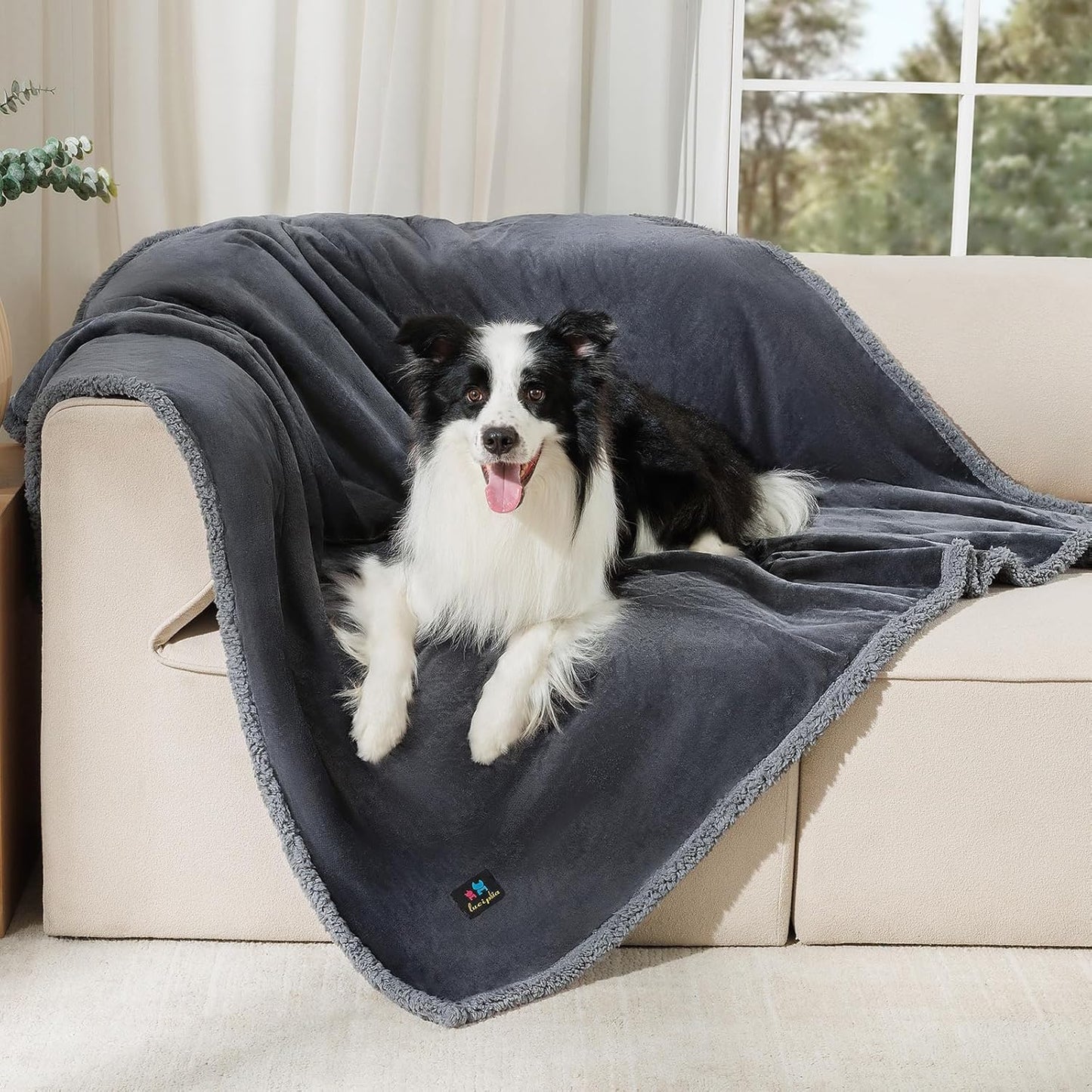 Luciphia Waterproof Pet Blanket, Liquid Pee Proof Dog Blanket for Sofa Bed Couch, Reversible Sherpa Fleece Furniture Protector Cover for Small Medium Large Dogs Cats, Dark Gray X-Large（85" x 57"）