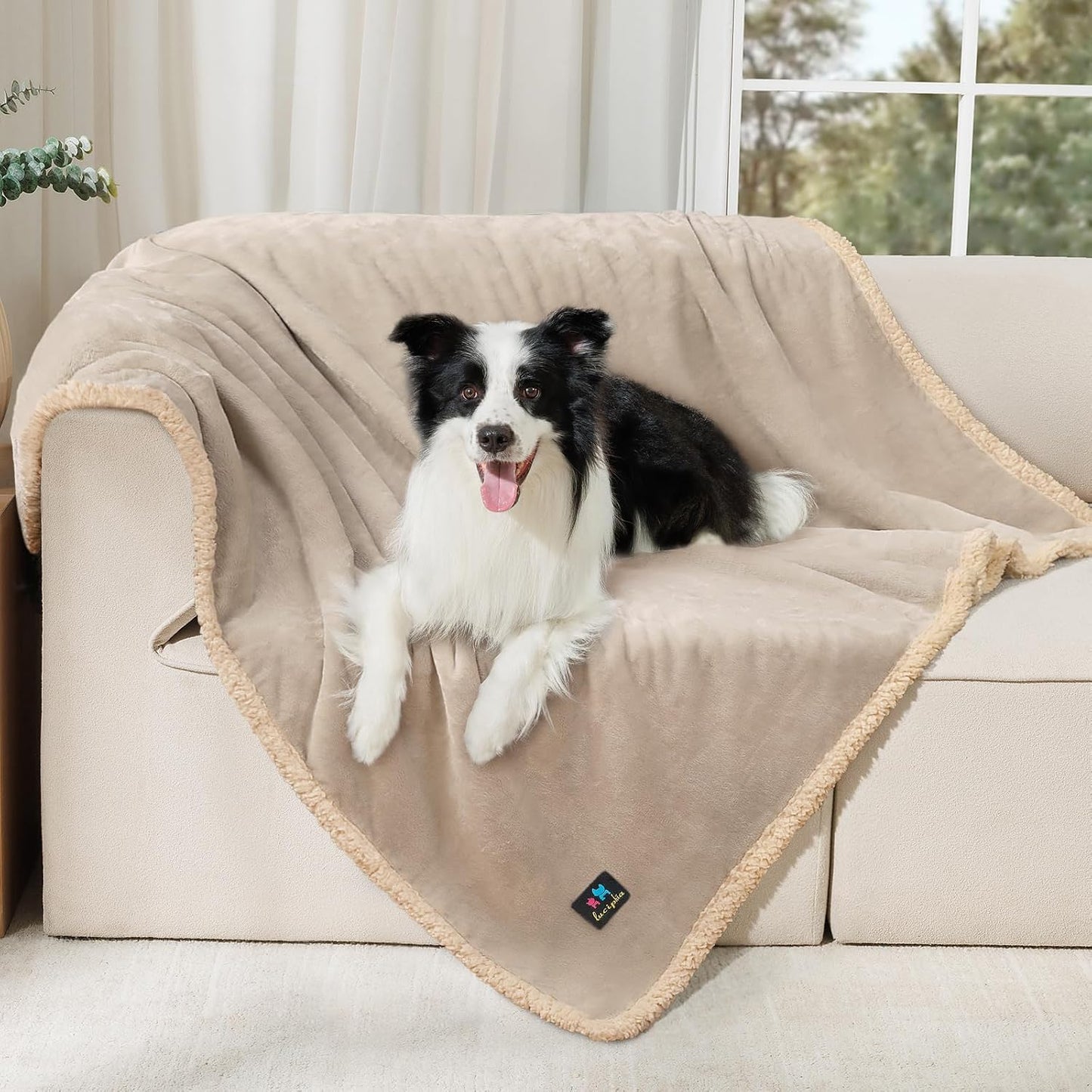 Luciphia Waterproof Pet Blanket, Liquid Pee Proof Dog Blanket for Sofa Bed Couch, Reversible Sherpa Fleece Furniture Protector Cover for Small Medium Large Dogs Cats, Dark Gray X-Large（85" x 57"）