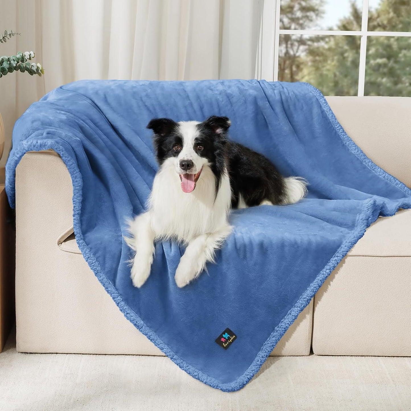 Luciphia Waterproof Pet Blanket, Liquid Pee Proof Dog Blanket for Sofa Bed Couch, Reversible Sherpa Fleece Furniture Protector Cover for Small Medium Large Dogs Cats, Dark Gray X-Large（85" x 57"）