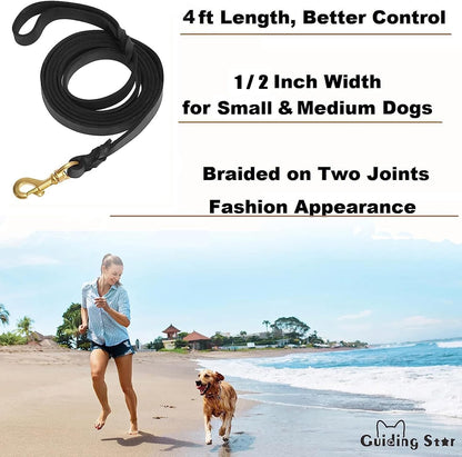 Leather Dog Leash 6ft x 3/4 inch Heavy Duty Training Leash