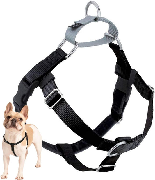 Freedom No Pull Dog Harness, 1 inch MD, Teal | Discourages Pulling, Comfortable Control Adjustable Dog Harness for Medium Sized Dogs, Made in USA (Leash Not Included)